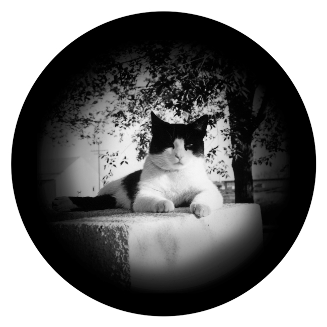 06